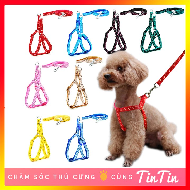 [Mã PET50K giảm Giảm 10% - Tối đa 50K đơn từ 250K] Dây Dắt Đai Lưng Yếm Ngực Cho Chó Mèo Giá Rẻ