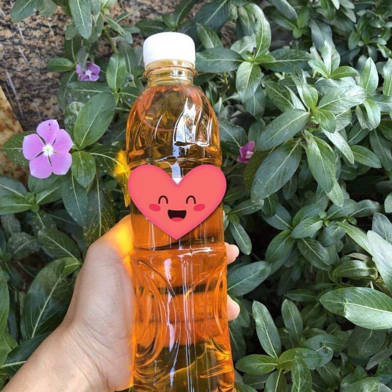 bơ dầu 500ml