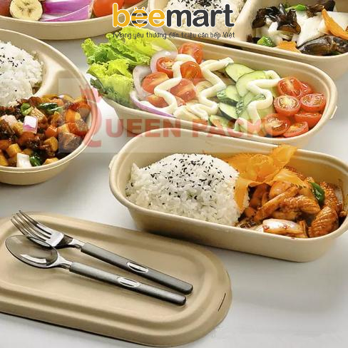 Hộp bã mía 1 ngăn có nắp rời 229x134x44mm (nắp bã mía)