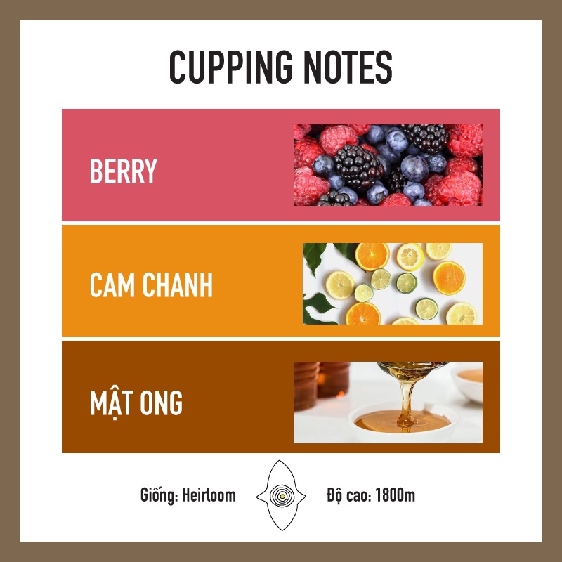 Cà Phê Rang Sẵn Room501 Roasters Ethiopia Sidamo Sơ Chế Washed Pha Espresso/Latte/Coldbrew