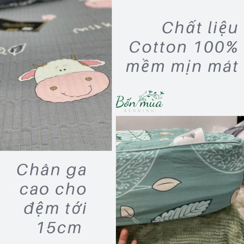 Ga trần bông, ga trải giường cotton bo chun BAMBILOO chất liệu cotton 100% đủ kt, kèm 2 vỏ gối 45x65cm