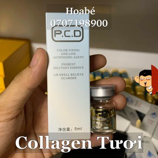 collagen tươi PCD giúp bóng môi