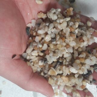 Sỏi tự nhiên 2mm -4 mm