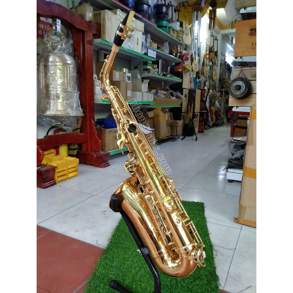 Kèn saxophone alto Victoria VAS-568EX màu vàng