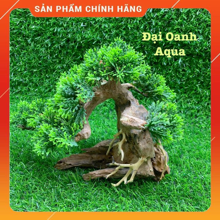 Lũa Bonsai Mini Trang Trí Bể Cá Cảnh, Bể Thủy Sinh Dáng Cây Cổ Thụ Cho Bể Cá 30-50cm