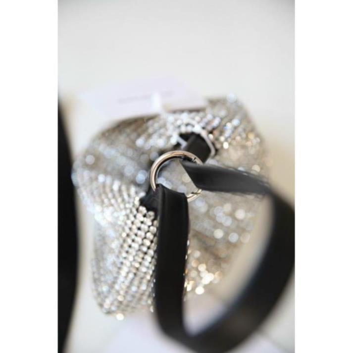 🍁Túi Alexander wang canta