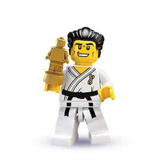 Lego series 2s - Võ sư Karate - Số  14