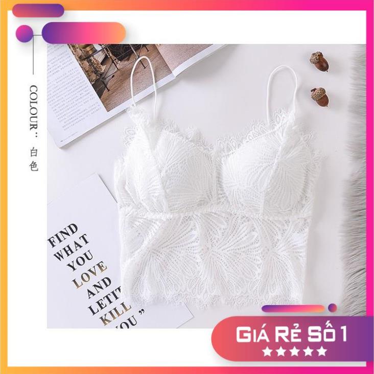 Hàng cao cấp Áo Bra Ren Dây Mảnh Quyến Rũ _ B10 _ S1