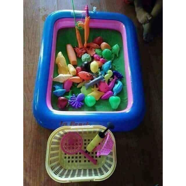 Bể câu cá cho bé