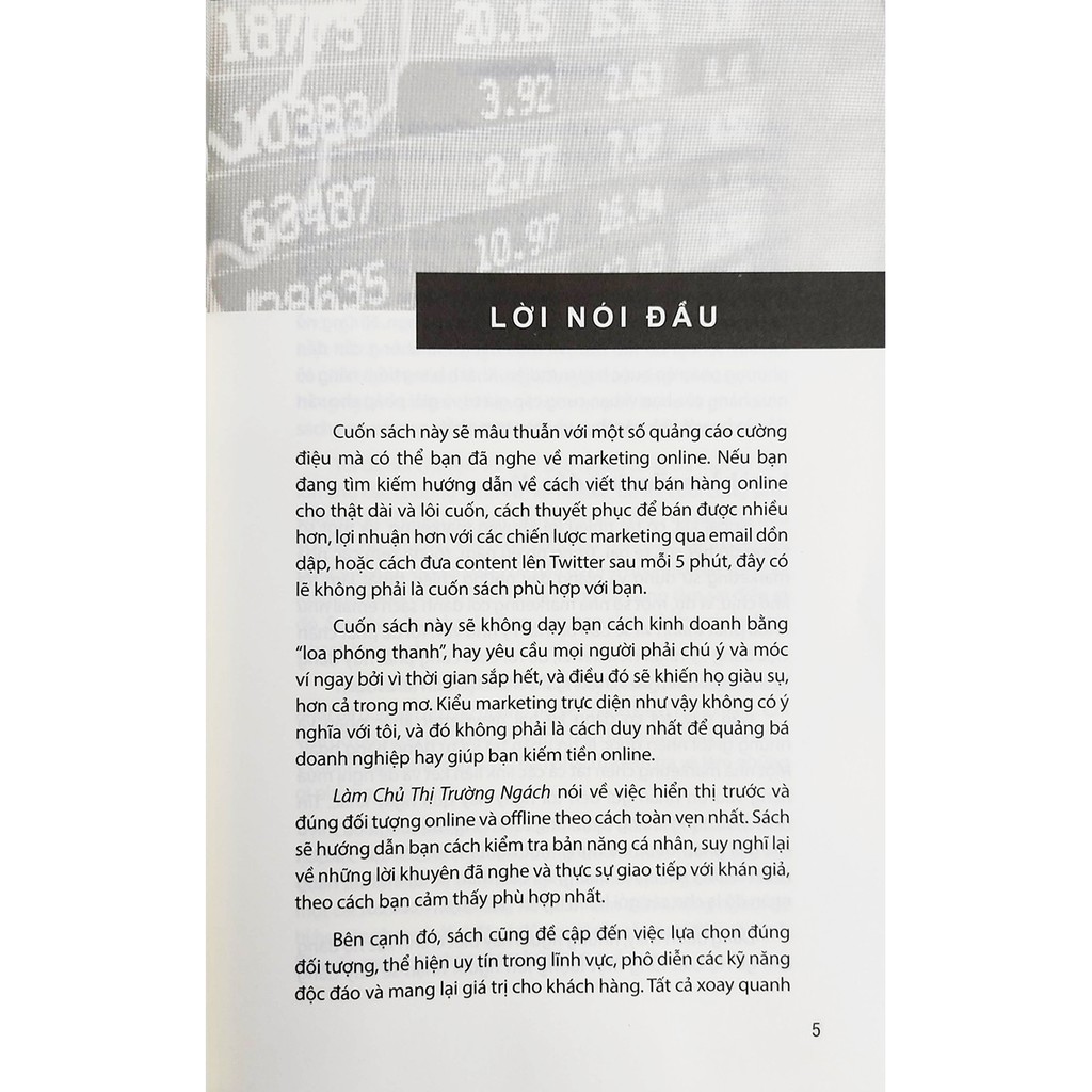 Sách - Làm Chủ Thị Trường Ngách - Own Your Niche | BigBuy360 - bigbuy360.vn