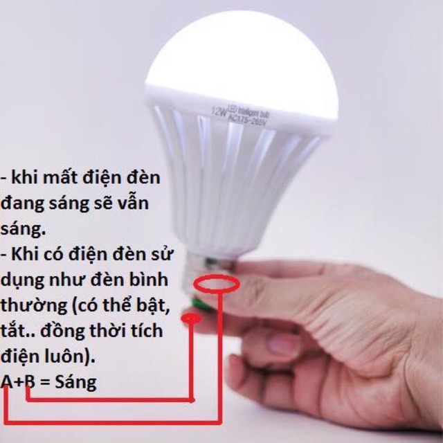 Bóng đèn tự phát sáng 12w