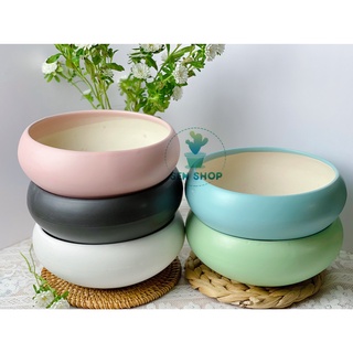 Chậu men trồng cây . Chậu màu pastel .