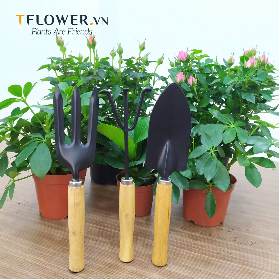 Bộ Dụng Cụ Làm Vườn Mini 3 Món