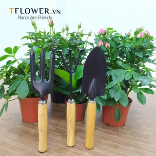 Bộ dụng cụ làm vườn mini 3 món