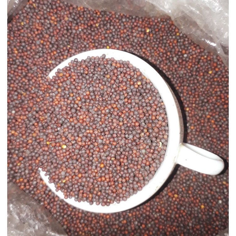 Hạt giống rau cải xanh