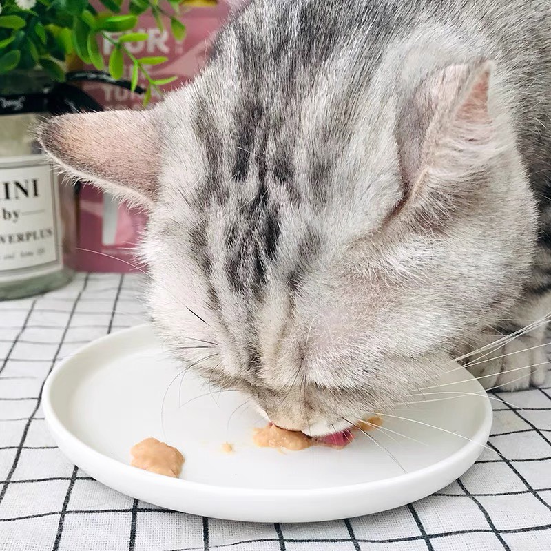 Súp thưởng cho mèo Furfurland 10g, kem snack dinh dưỡng tăng cân mèo lớn con nhỏ Con Mèo Xiêm