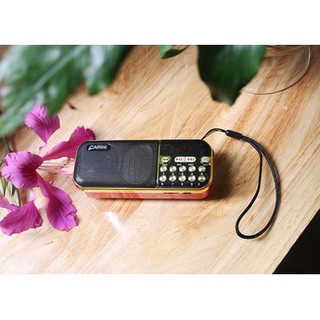 ĐÀI FM, radio, Máy Nghe Nhạc Đa Năng, Thẻ Nhớ, USB CARRIE CA-121