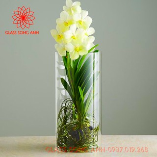 Bình bông thủy tinh trang trí D10x30, Bình cắm hoa thủy tinh trụ, lọ hoa hình trụ, trụ đổ đèn cầy, ống trụ tròn