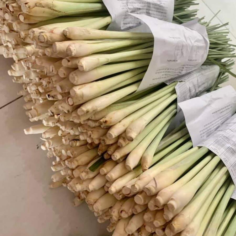 Sả cây tươi - GIAO NHANH HỒ CHÍ MINH | BigBuy360 - bigbuy360.vn