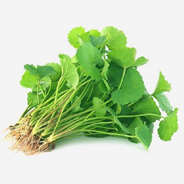 Gói 200 hạt rau má lá nhỏ