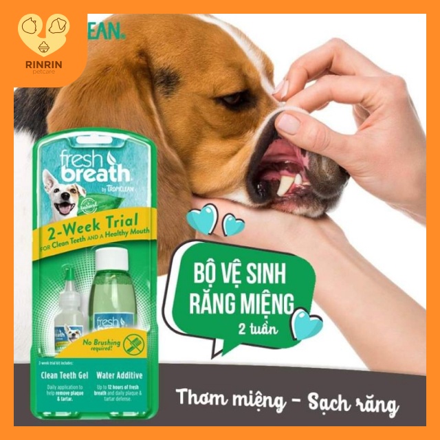 Mini kit vệ sinh răng miệng cho chó