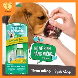 Mini kit vệ sinh răng miệng cho chó