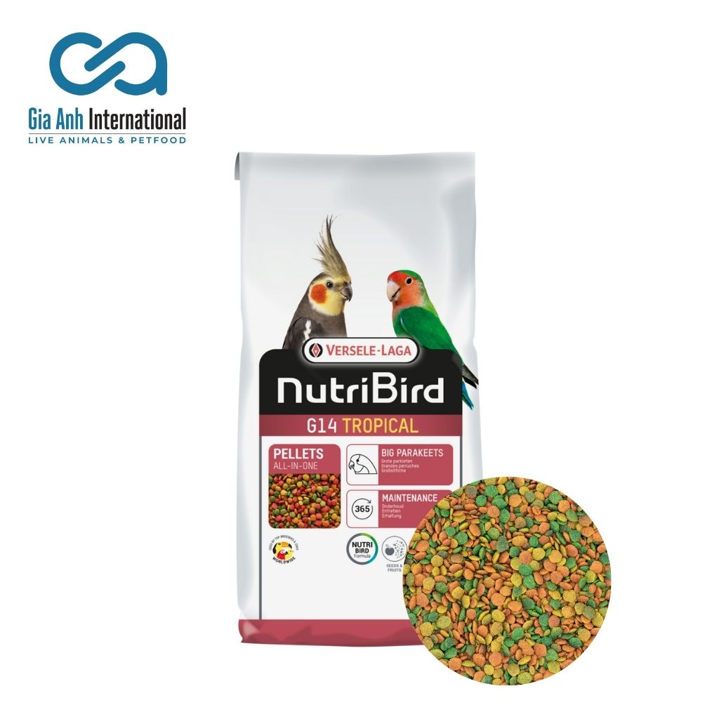 Hỗn Hợp Trái Cây Trộn Cho Vẹt Đuôi Dài Nhiều Màu - Versele-laga Nutri Bird G14 Tropical Giúp Tăng Cường Sức Khoẻ Gói 1kg