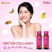 Nước Đông Trùng Hạ Thảo Hector Collagen Hộp 10 Chai