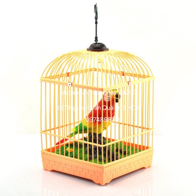 Hộp đồ chơi lồng chim trưng bày cực đẹp dành cho nhà, và phòng bé