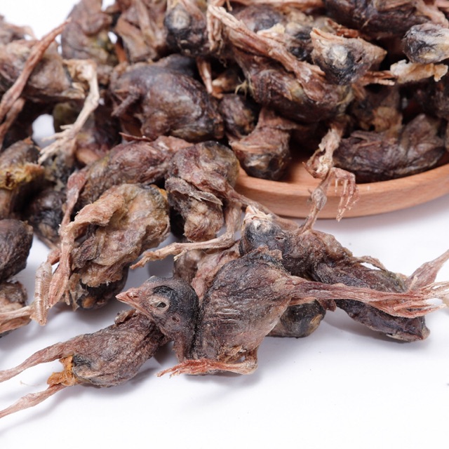 CHIM CÚT SẤY KHÔ CHO CÚN