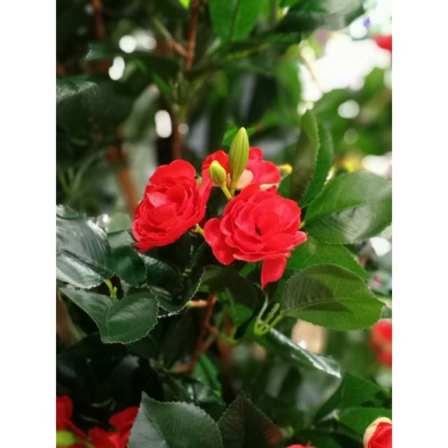 Cây hoa trà liền thân cao 1m6.Cây giả trang tri nhà cửa.Ko kèm chậu-Hoaluaminhhoa