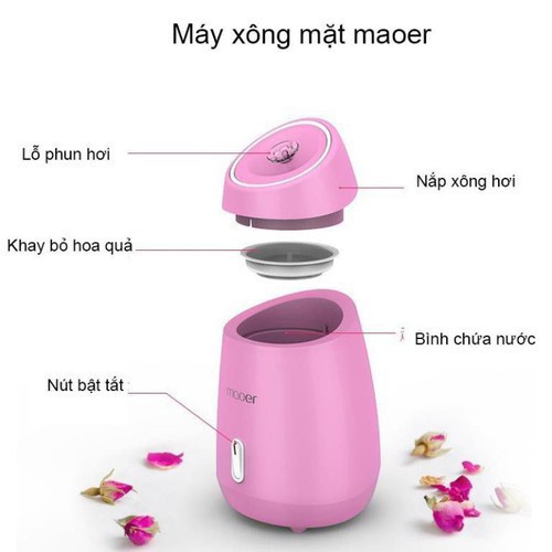 Máy Xông Mặt, Máy Xông Hơi MAOER Thảo Dược Hoa Quả Tự Động - SATOO