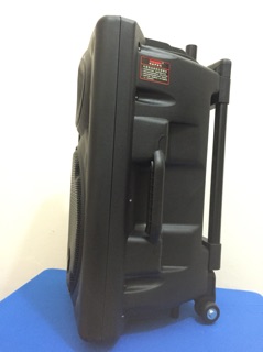 Loa kéo Temeisheng DP-297L