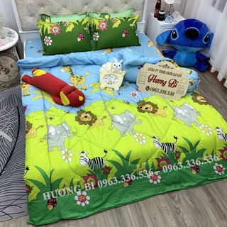 HOT💥HOT Chăn Phao Siêu Nhẹ Cotton Poly Mẫu Mới