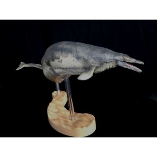 Mô hình PNSO Cá voi Tiền sử Basilosaurus