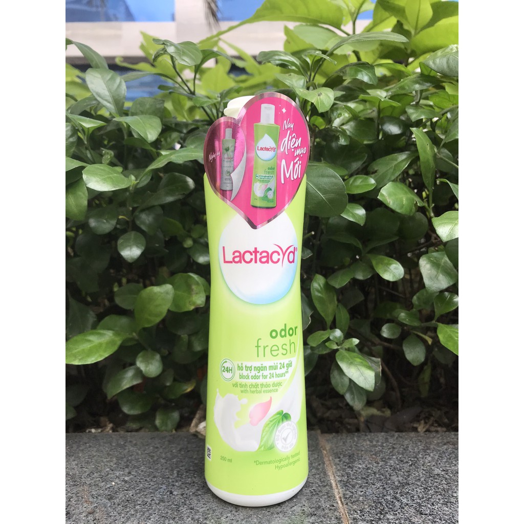 Dung Dịch Vệ Sinh Phụ Nữ Lactacyd 250ml Lá Trầu Không &amp; Nước Hoa Hồng - cvspharmacy