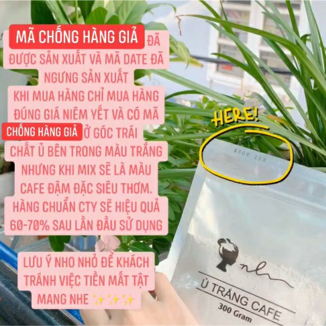 Combo 5 gói ủ cafe giá sỉ | BigBuy360 - bigbuy360.vn