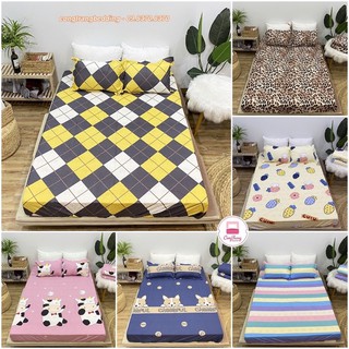 Ga Trải Giường , drap trải giường Poly Cotton M6/M8 Nhiều Mẫu Tùy Chọn - Bộ ga chun kèm 2 vỏ gối poly cotton