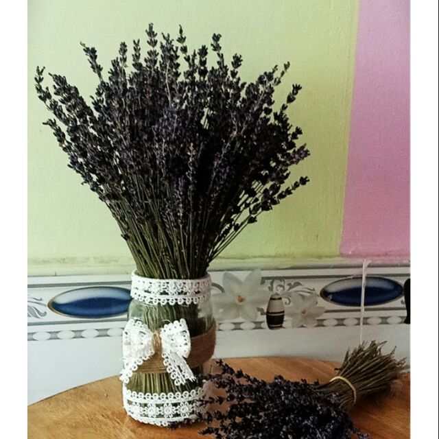 Lọ Hoa Lavender  FLower Aroma  viền ren và nơ.,200 cành.