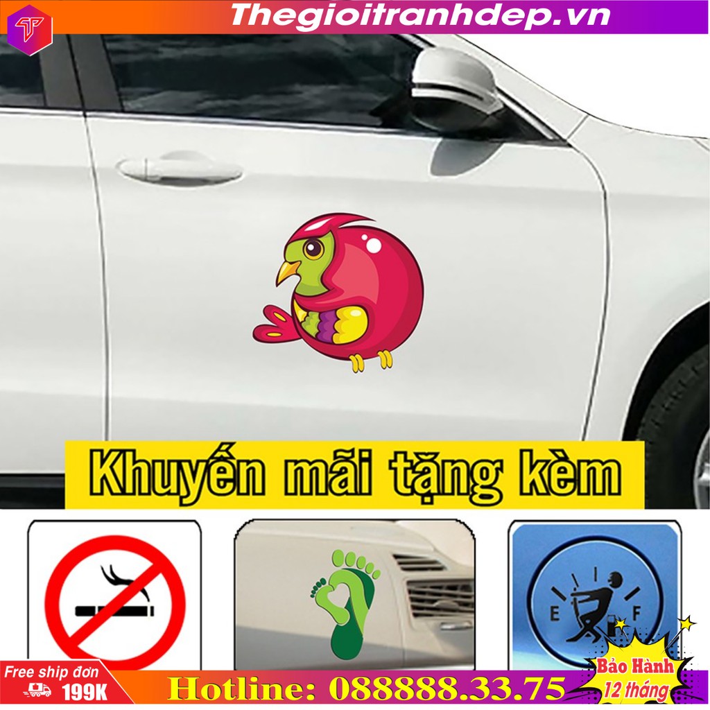 Miếng dán xe hơi, sticker hình chú vẹt sặc sỡ