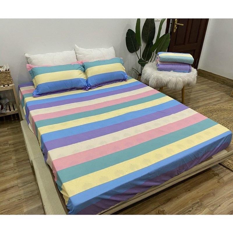 Ga giường May Hoàng minh cotton poly kích thước 1m2 1m6 1m8 2m2, drap chun bọc đệm + 2 vỏ gối