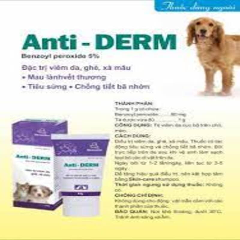 Kem bôi viêm da, ghẻ, xà mâu cho chó mèo Anti Derm chống tiết bả nhờn mau lành vết thương mau mọc lông tuýt  50g