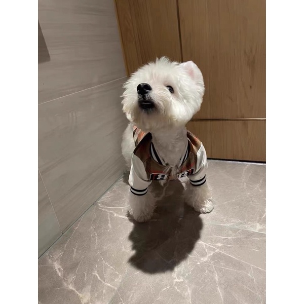 ÁO KHOÁC VARSITY BBR cho chó mèo