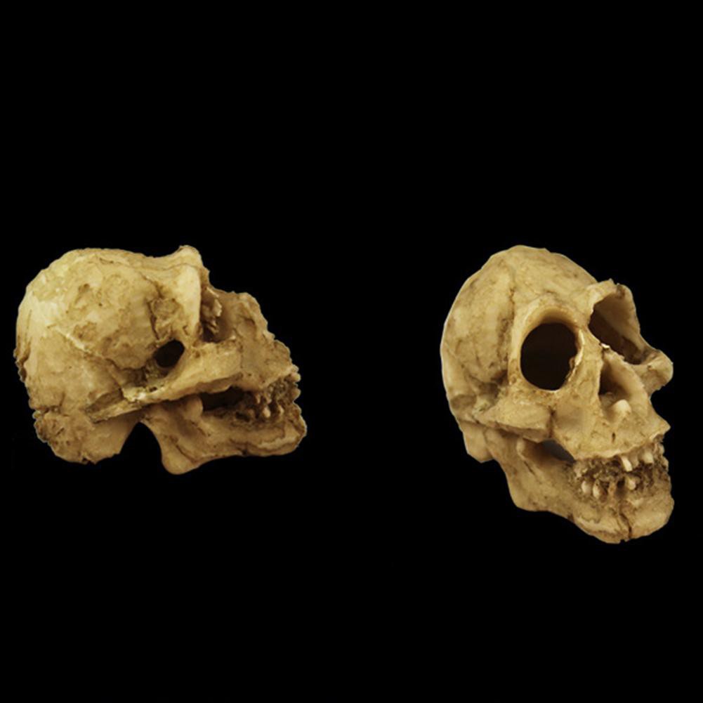 Đầu lâu trang trí hồ cá