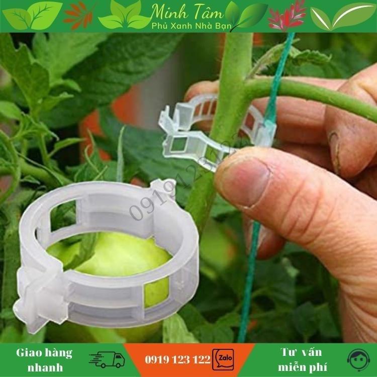 kẹp thân cà chua, dây leo - bịch 20 cái