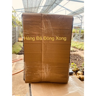 Cây Nho Giống Elđen Nho Phap Leo giàn
