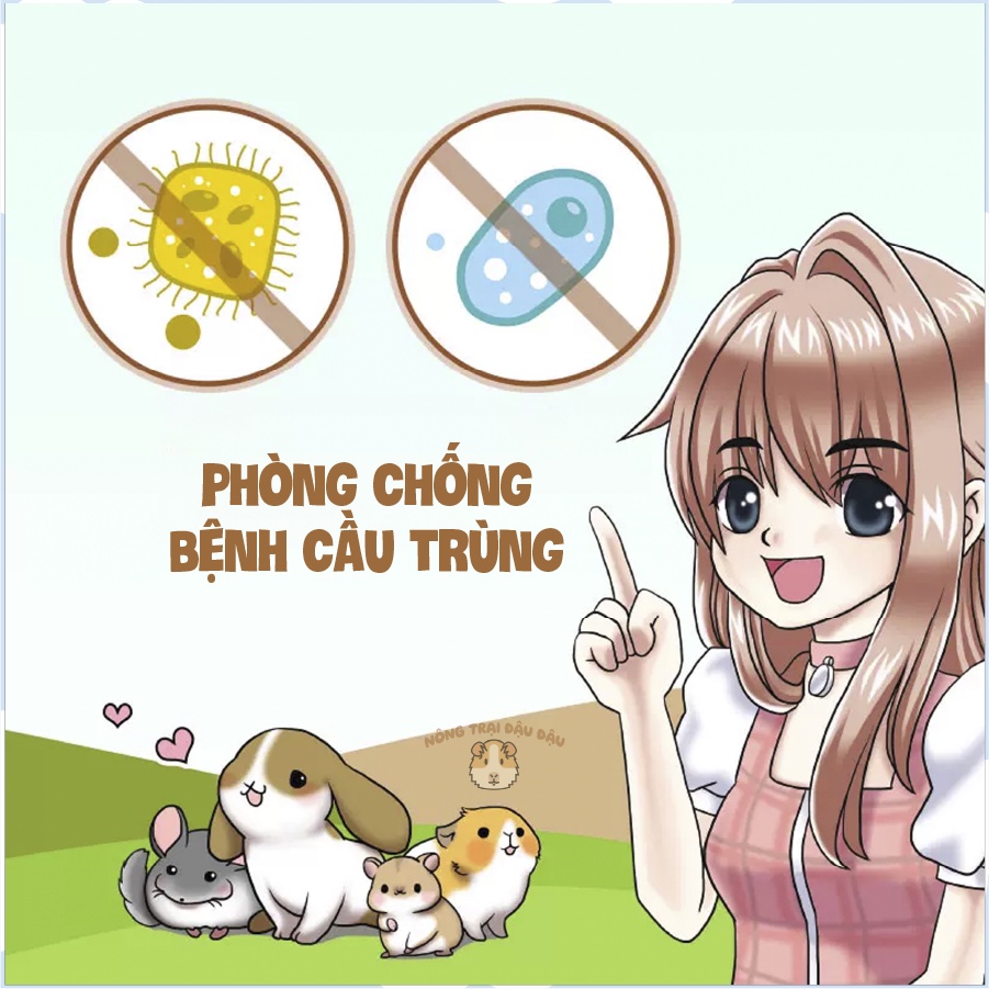 Bánh Cỏ Thảo Mộc Izzo Cho Thỏ, Bọ Ú, Chinchilla 80g - IZ03