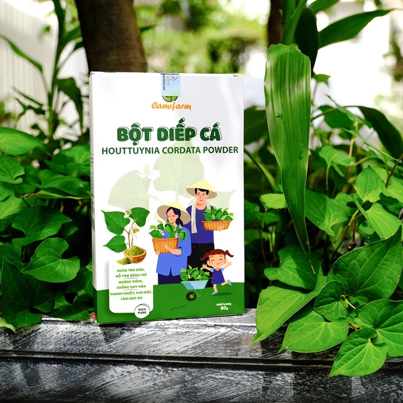 Bột diếp cá nguyên chất 100% Camifarm 80g công nghệ sấy lạnh đạt chuẩn Châu Âu