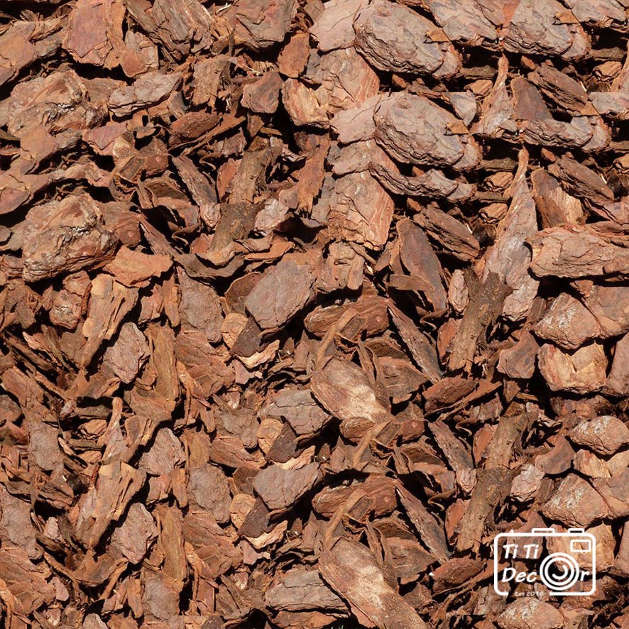 Vỏ Thông Khô TiTi Decor Chụp Ảnh Sản Phẩm Phong Cách Mộc, Vintage Cổ Điển