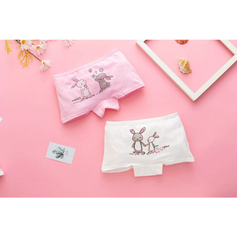 Set 4 Quần Chip Bé Gái  Chất Cotton 100%, Hoạt Tiết Dễ Thương kute